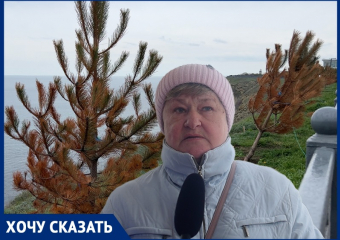 «Кто будет в ответе за погибшие деревья»: анапчанка просит спасти сосны на набережной