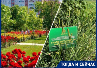 Море роз: анапчане вспоминают как выглядела раньше «Ореховая роща»