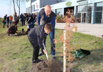 В Анапе высадили кипарисовую аллею вдоль реки 