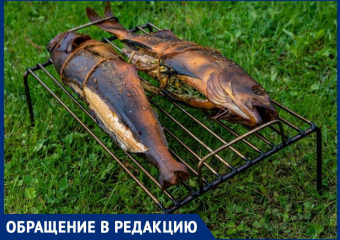 Анапчанин Айрат Сафин купил копчёную рыбу, но в итоге выбросил её