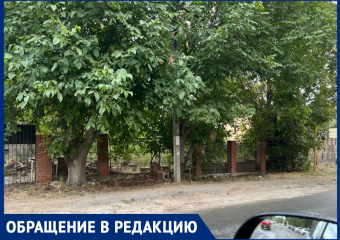Из-за отсутствия тротуара школьники вынуждены ходить про проезжей части
