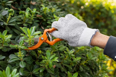 как определить местоимение 7 класс. падежные окончания существительных склонения таблица. и т п на каждого. склонение существительных падежи. таблица склонения по падежам личных местоимений.