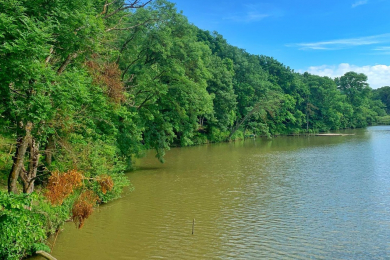 Отдых для всей семьи - база отдыха «Ферма» - 