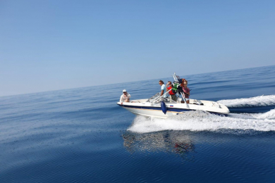 Аренда яхт, морские прогулки, рыбалка.