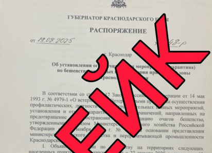 В соцсетях сообщается о введении карантина по бешенству животных в прибрежной зоне