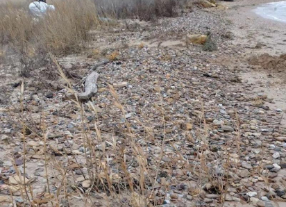 Для пляжей Анапы появилась новая угроза