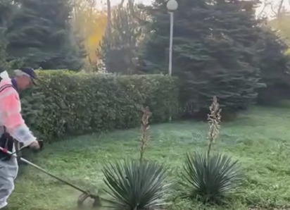 В Анапе стартовал весенний покос травы