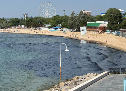 Раскрыта тайна черных водорослей на побережье Анапы 