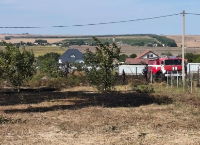 Жительница Анапы пожаловалась на заброшенные сельхозземли после пожара