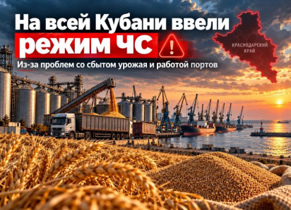 На всей Кубани ввели режим ЧС из-за проблем со сбытом урожая и работой портов