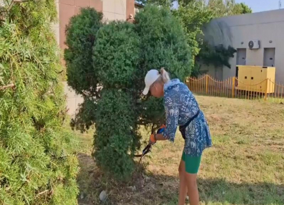 В Анапе из куста выстригли Чебурашку. Пока неузнаваемого, но обещают доработать