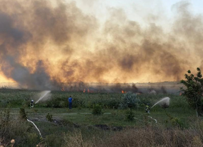 Огонь прошёл 25 гектаров: в Анапе защищают жилые районы и готовят Бе-200 и Ми-8