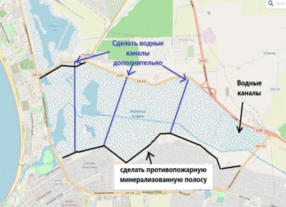 Почти все анапские плавни сгорели дотла: что делать, чтобы пожар не повторился