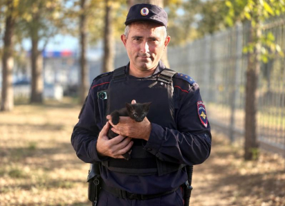 В Анапе полицейские спасли котёнка с дерева — теперь Черныш живёт в отделе МВД