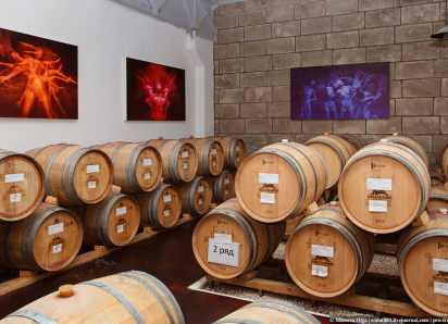 Тяжба за 105 миллиардов ГК «Ариант»: анапской винодельне «Кубань-Вино» «развязывают руки»