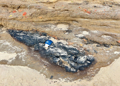 Волонтеры бьют тревогу: обнаружен апокалипсис у озера Солёное в Краснодарском крае