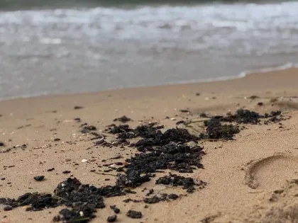 Стали известны новые результаты мониторинга пляжей Анапы 