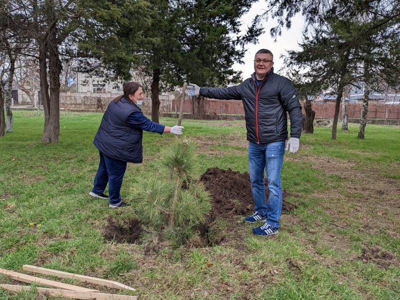 В Витязево под Анапой в честь праздника высадили более 100 деревьев