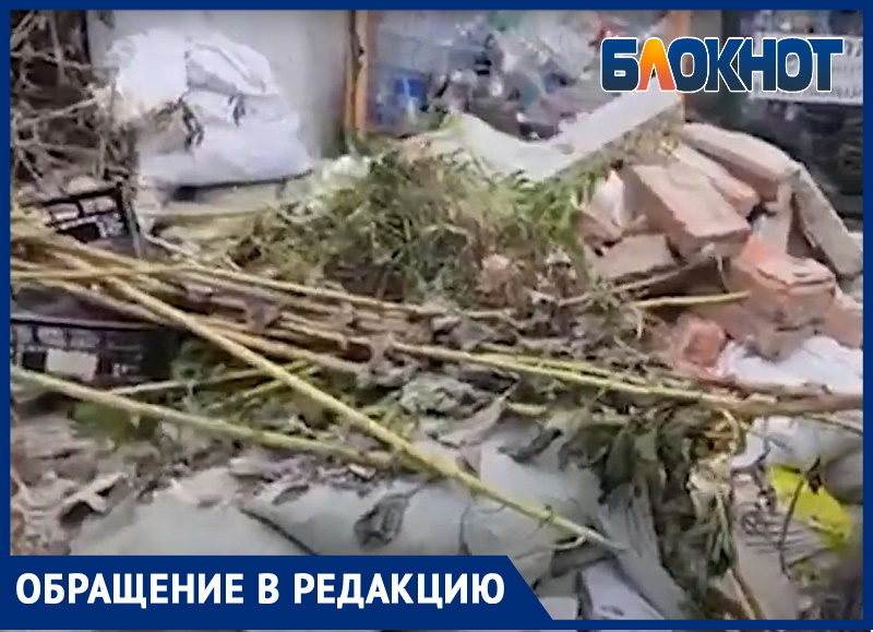Дом 181 на улице Крымской в Анапе утопает в мусоре
