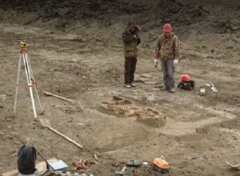 При раскопках в Анапской нашли захоронение римского легионера вместе с конем