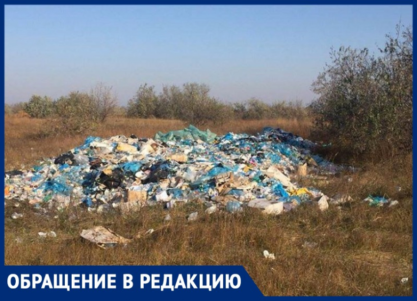 Исчезнут ли мешки с мусором с пляжа в с. Витязево под Анапой? 