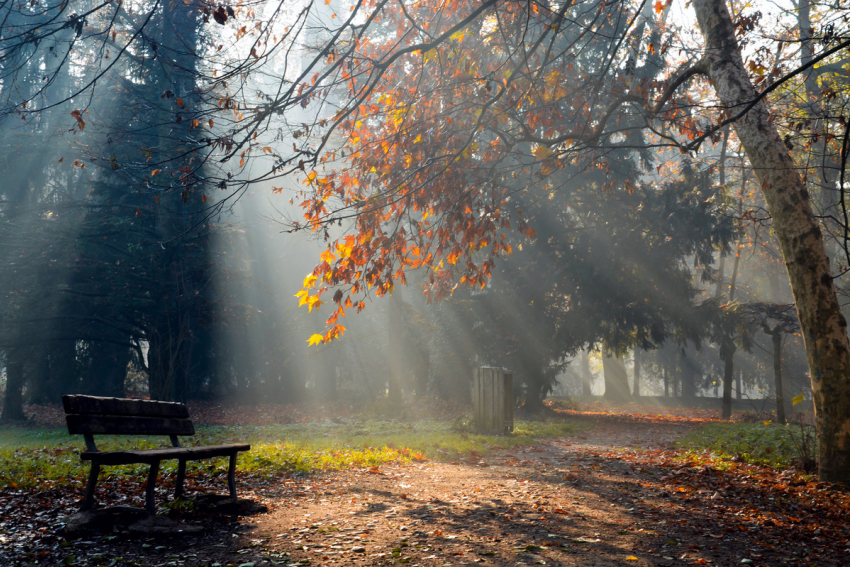 Сегодня, 10 ноября, в Анапе ясно и безветренно