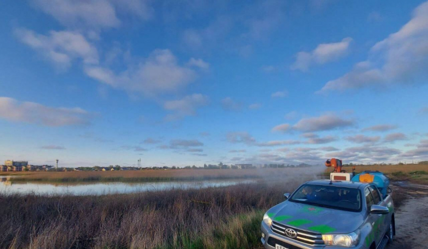 В Анапе началась поэтапная обработка территорий от комаров