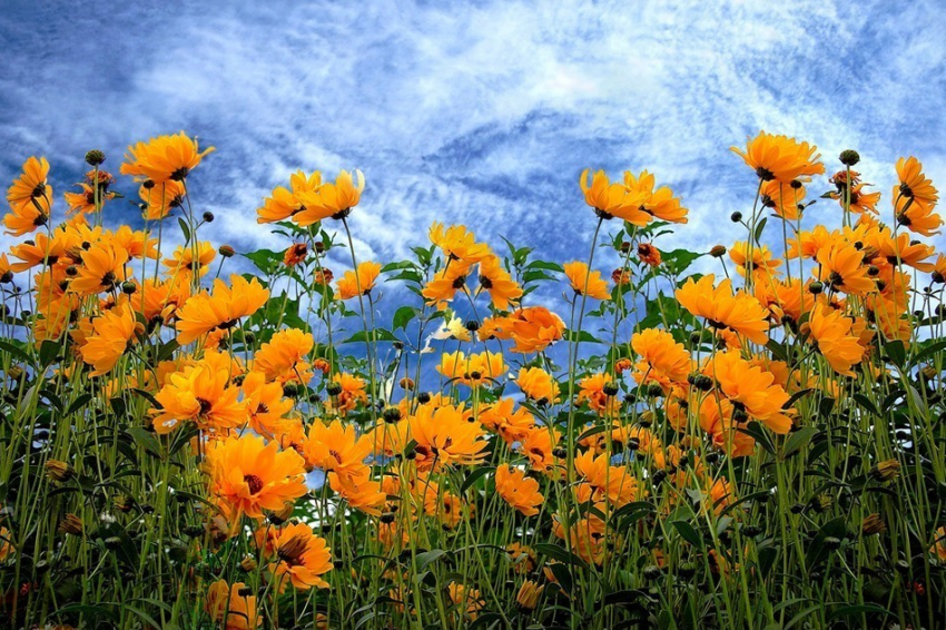 Что ждёт Анапу сегодня, 19 июля?