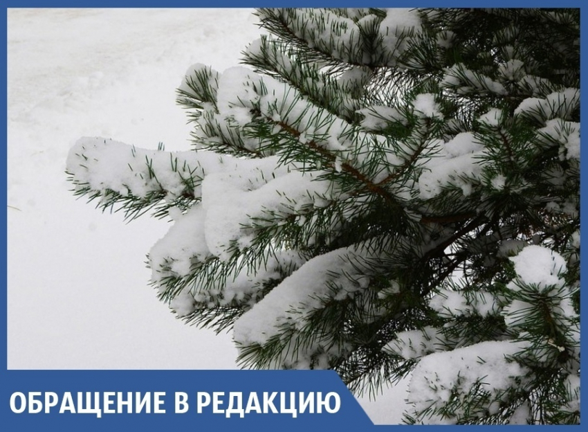 Снег в Рождество принес анапчанам не только радость, но и проблемы