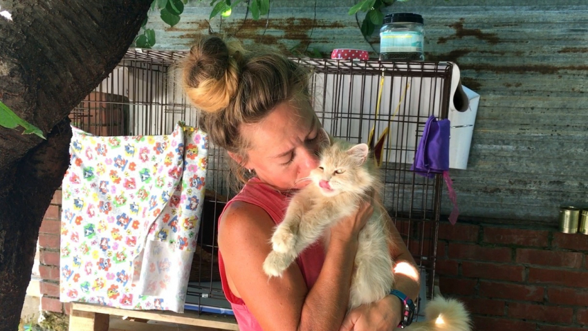 Девушка-волонтер строит приют для бездомных животных в Анапе