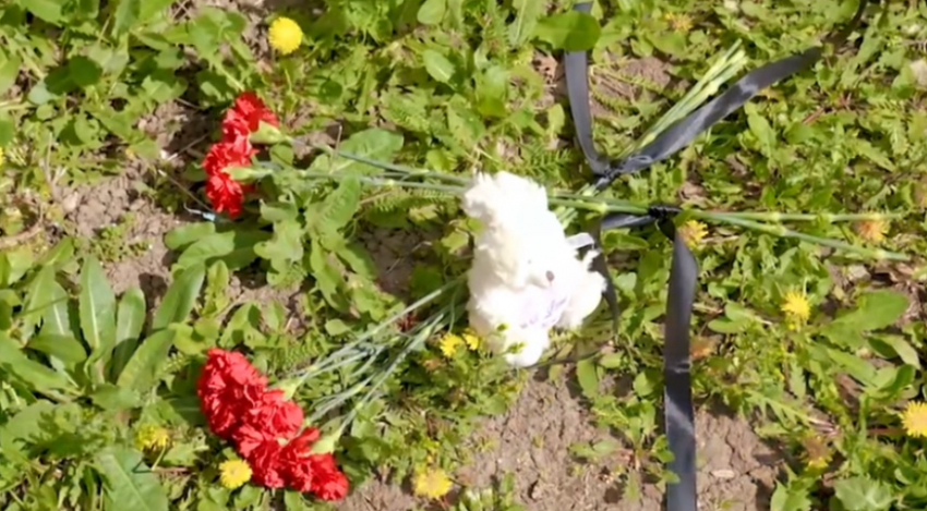 В Анапе появился стихийный мемориал погибшей 7-летней девочке