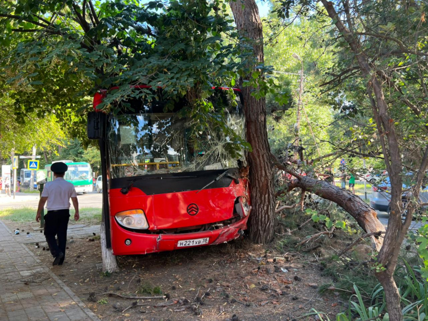 Автобус с людьми врезался в дерево в Анапе
