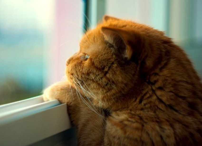 В понедельник, 22 октября, в Анапе дождливо и пасмурно