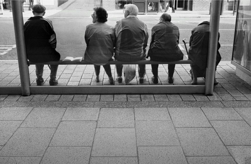 «Маршрутчики не замечают пассажиров из-за кустарников» - пенсионерка рассказала о заросшей остановке в Анапе