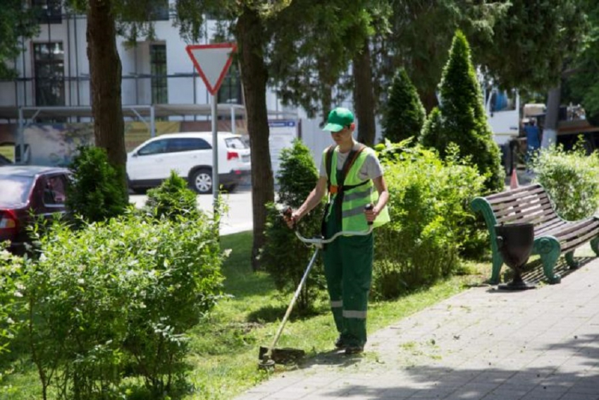 На покос сорняков в Анапе выделили 7 млн рублей