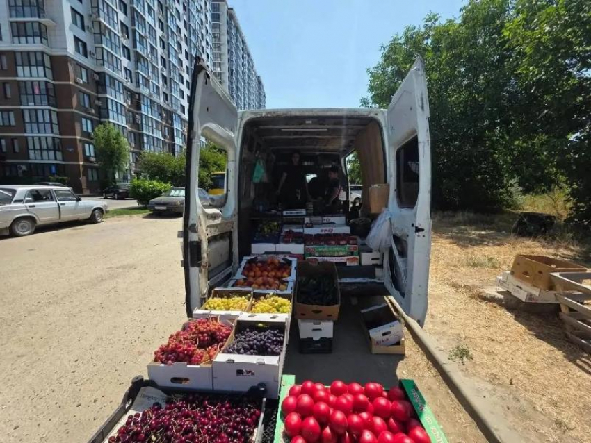 В Анапе с начала лета составили более 530 протоколов на торговцев-нарушителей