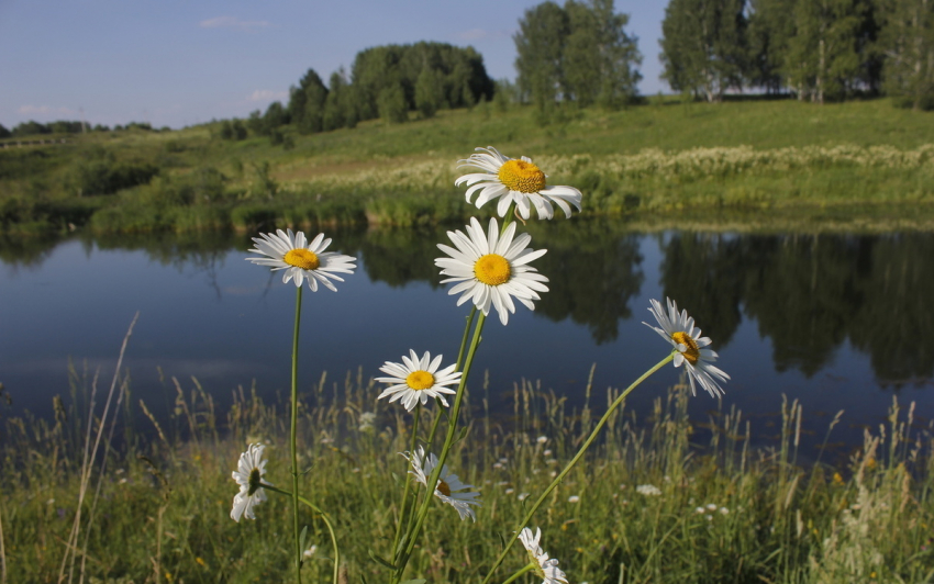 Какой будет погода в Анапе 17 июля?