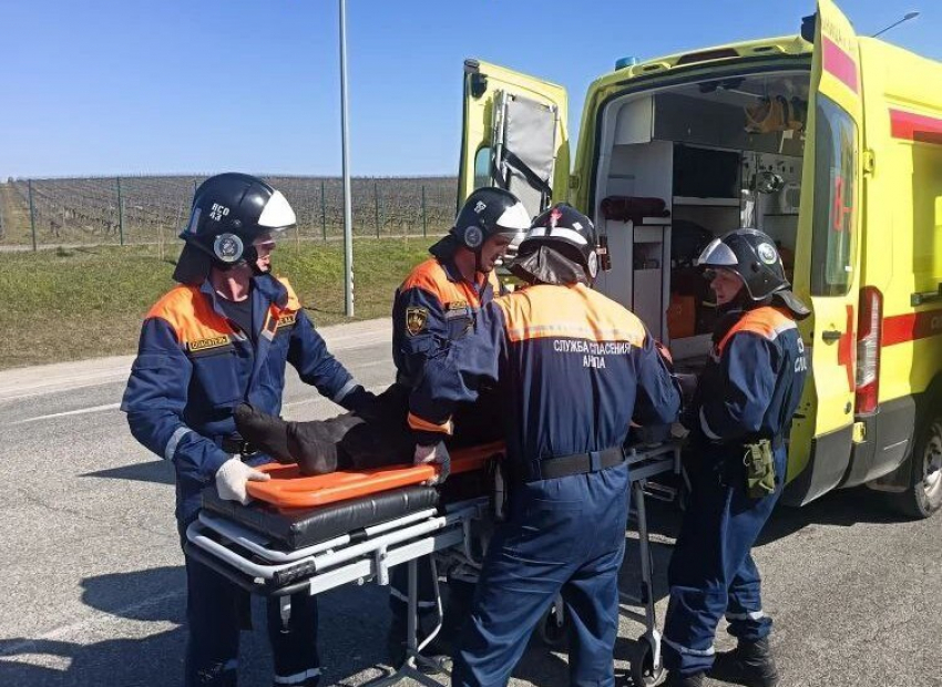 ЕДДС Анапы приняла 4544 обращения за семь дней