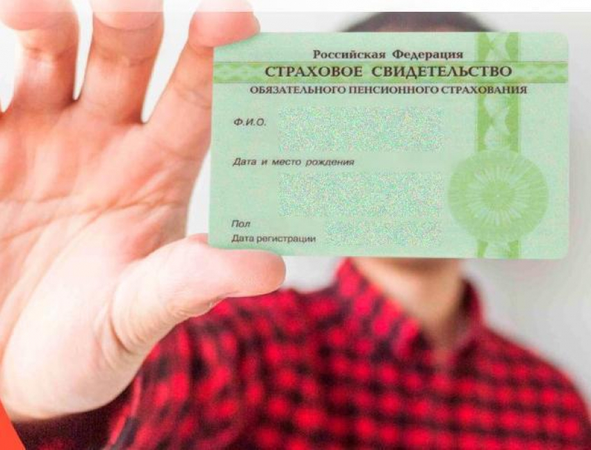 Анапчанам больше не будут выдавать бумажные СНИЛС