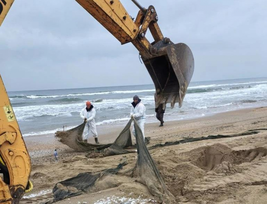 Появились новые данные мониторинга пляжей Анапы 