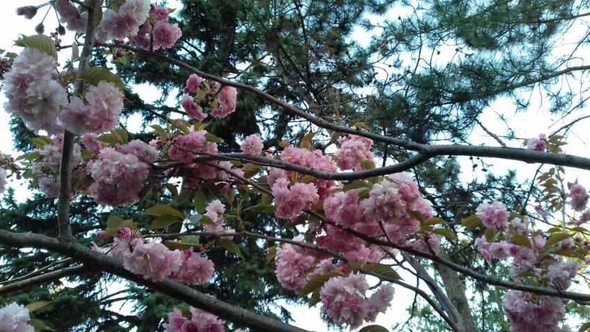 Сегодня в Анапе потеплеет