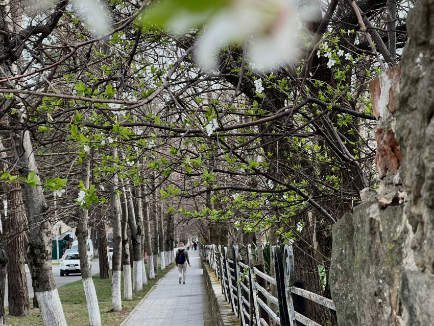 В День рождения мобильного телефона в Анапе будет облачно