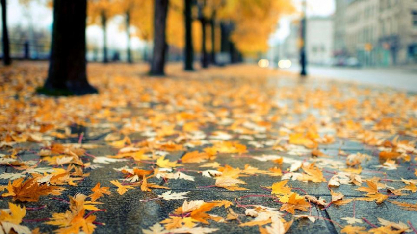 Сегодня в Анапе тепло, но дождливо