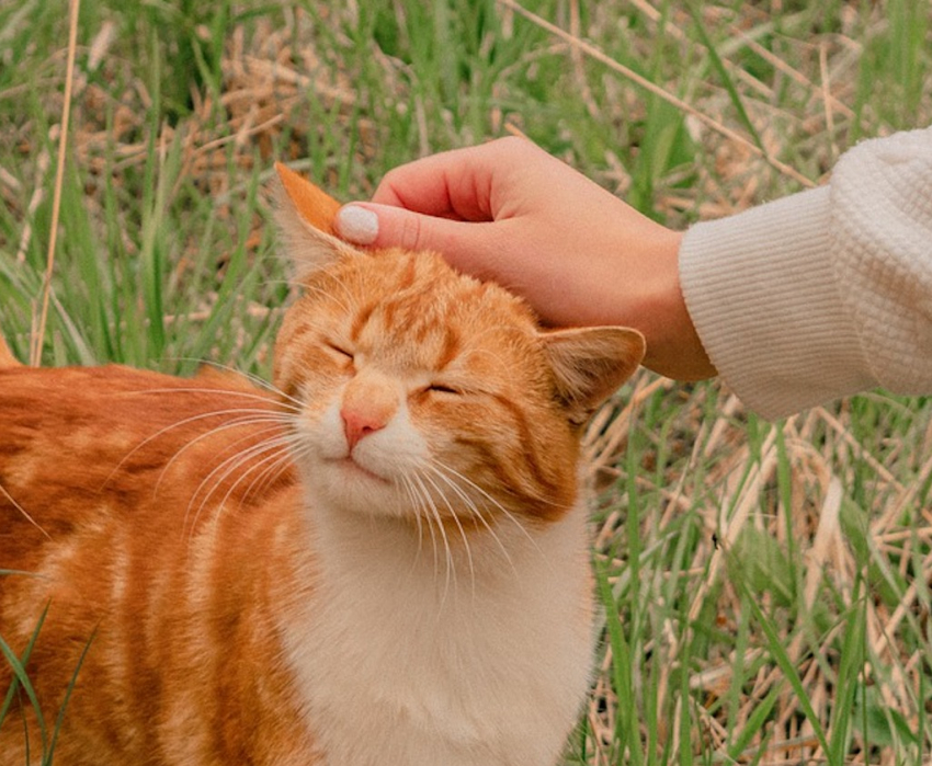 В Международный день борьбы с депрессией в Анапе будет весь день идти дождь