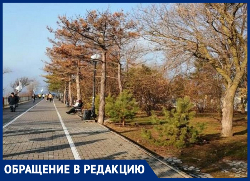 Александр Иванов считает, что в Анапе только 30% пешеходных дорожек соответствуют нормам
