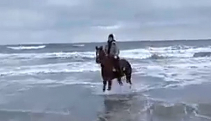 Анапчанин верхом на коне зашел в холодное февральское море