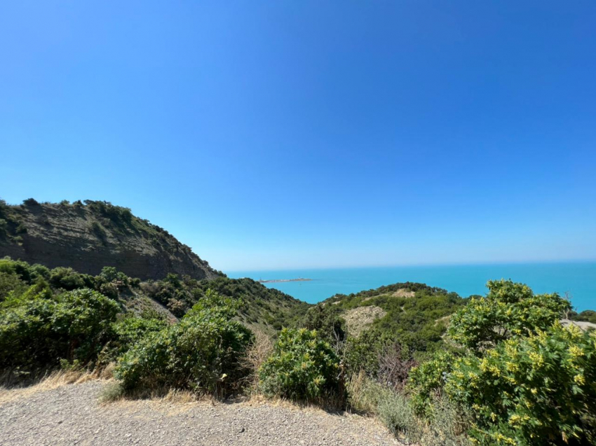 День тайной дружбы будет в Анапе солнечным