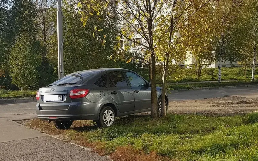 В Анапе будут действовать штрафы за парковку автомобилей на газонах и клумбах