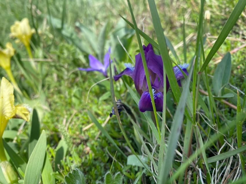 В день работников скорой помощи в Анапе тепло малооблачно