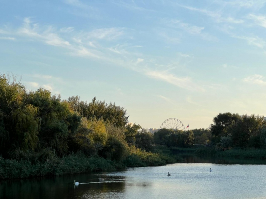 Всероссийский день гурмана в Анапе будет пасмурным